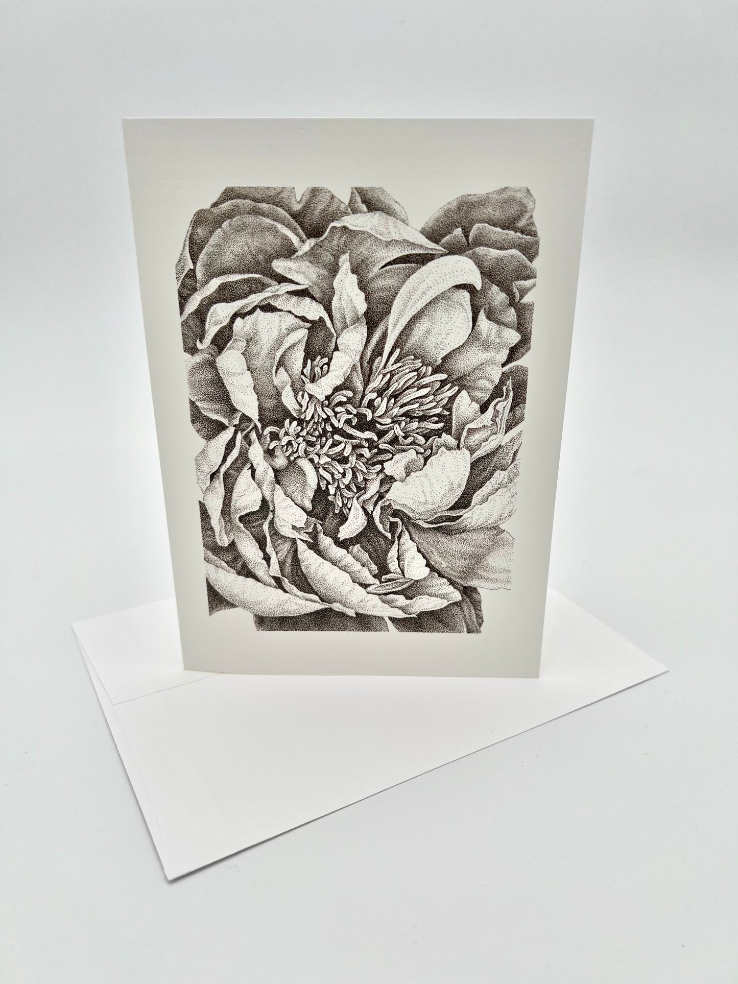 Garden Peony, Greeting Cards