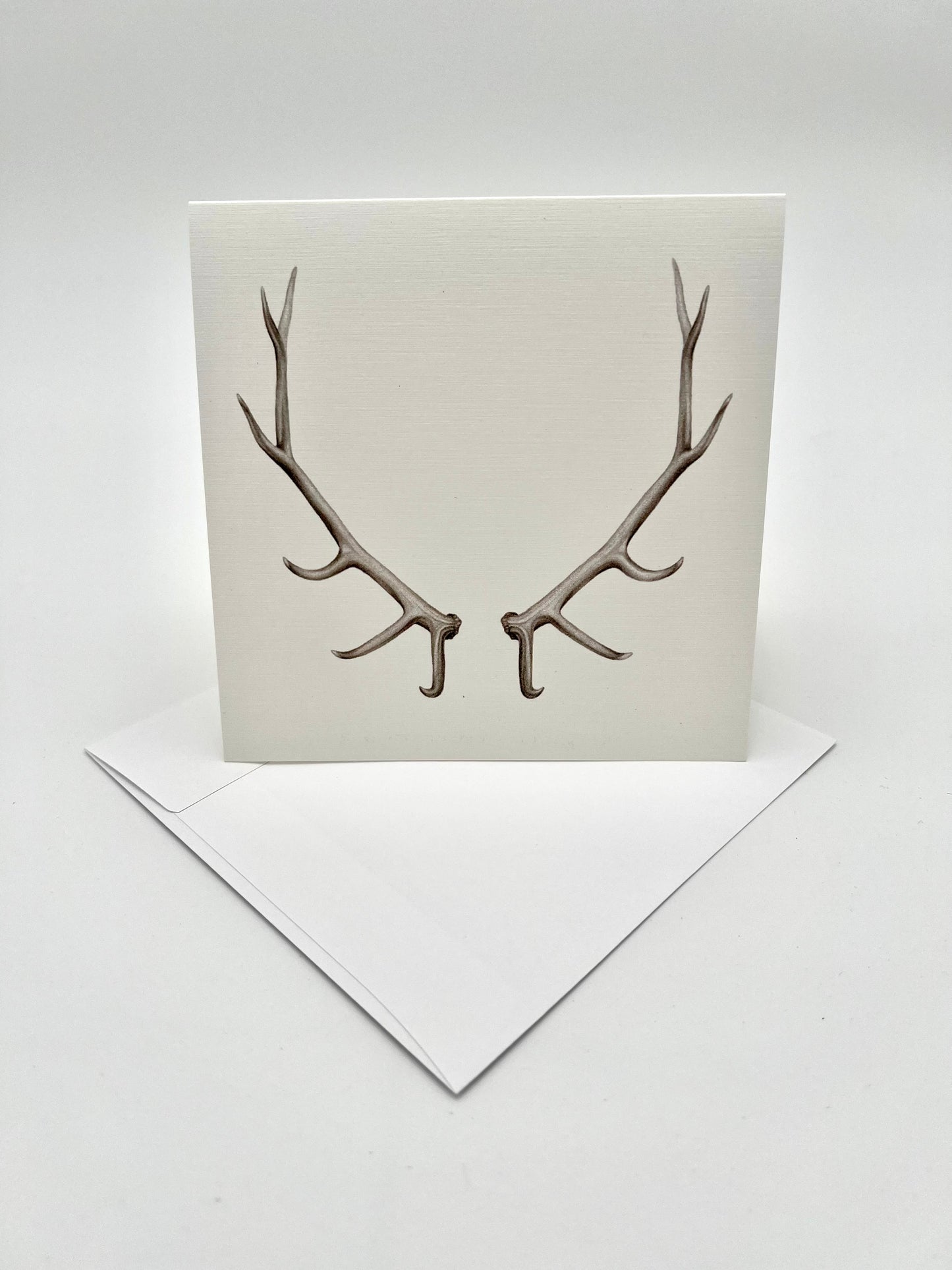 Antler Greeting Card