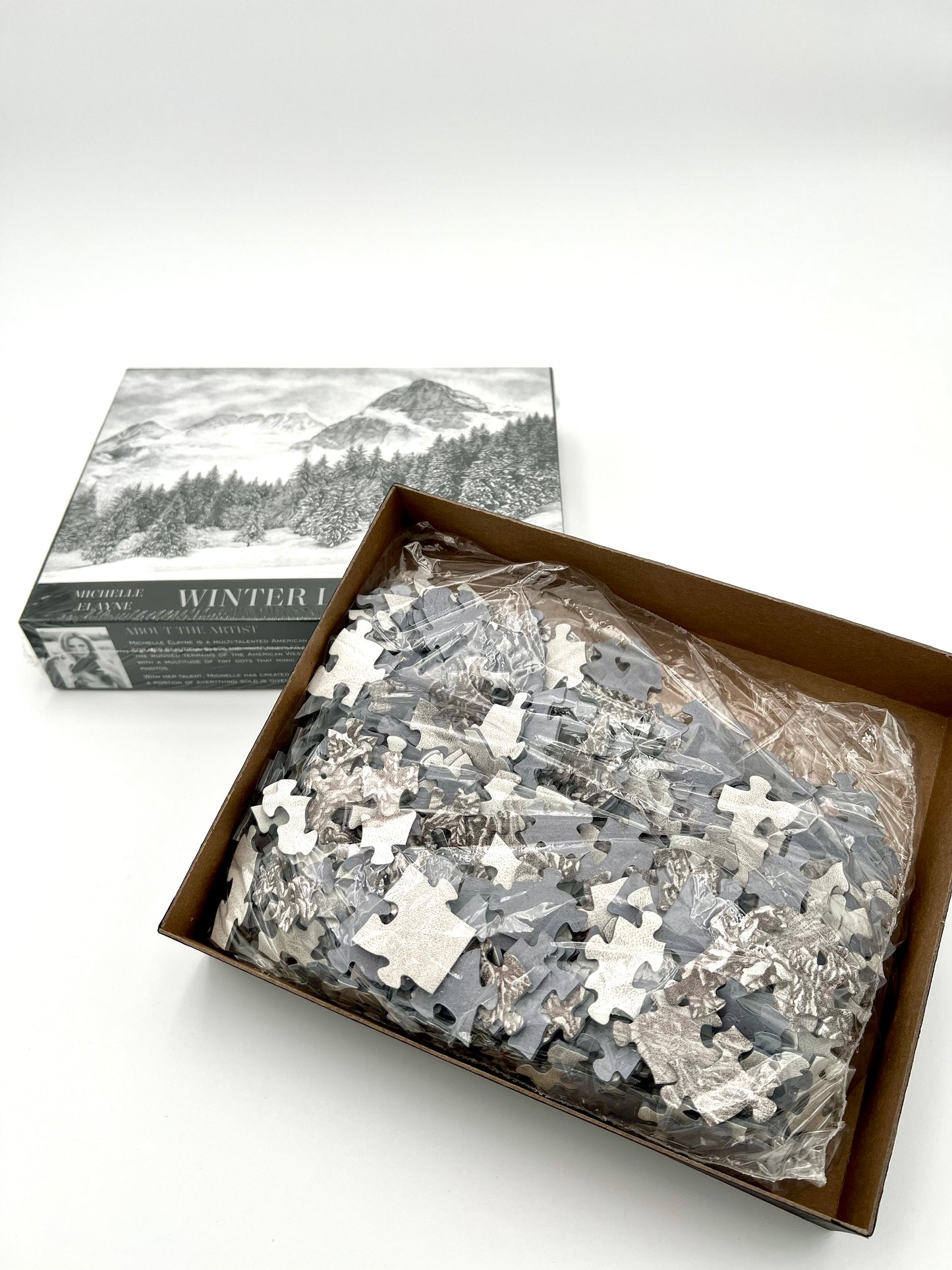 Winter Landscape I, Puzzle