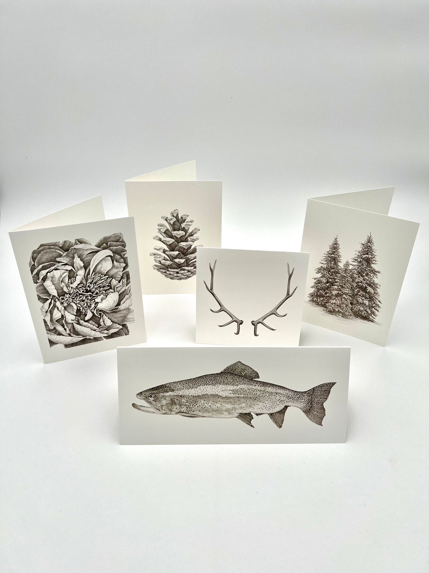 Combo pack of 5 cards, 1 of each