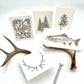 Combo pack of 5 cards, 1 of each