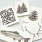 Combo pack of 5 cards, 1 of each