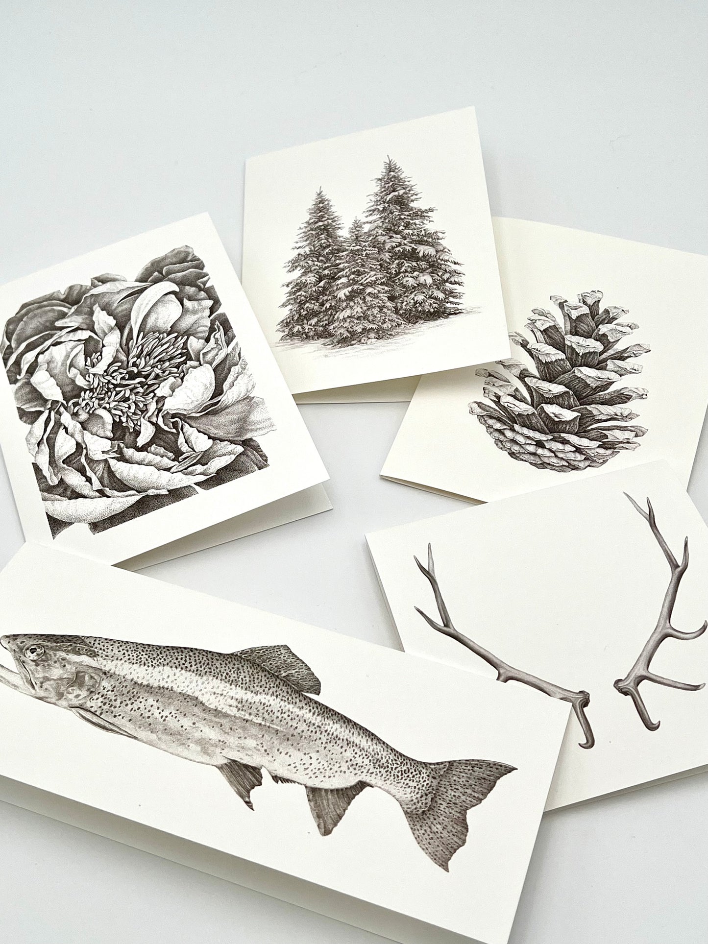 Combo pack of 5 cards, 1 of each