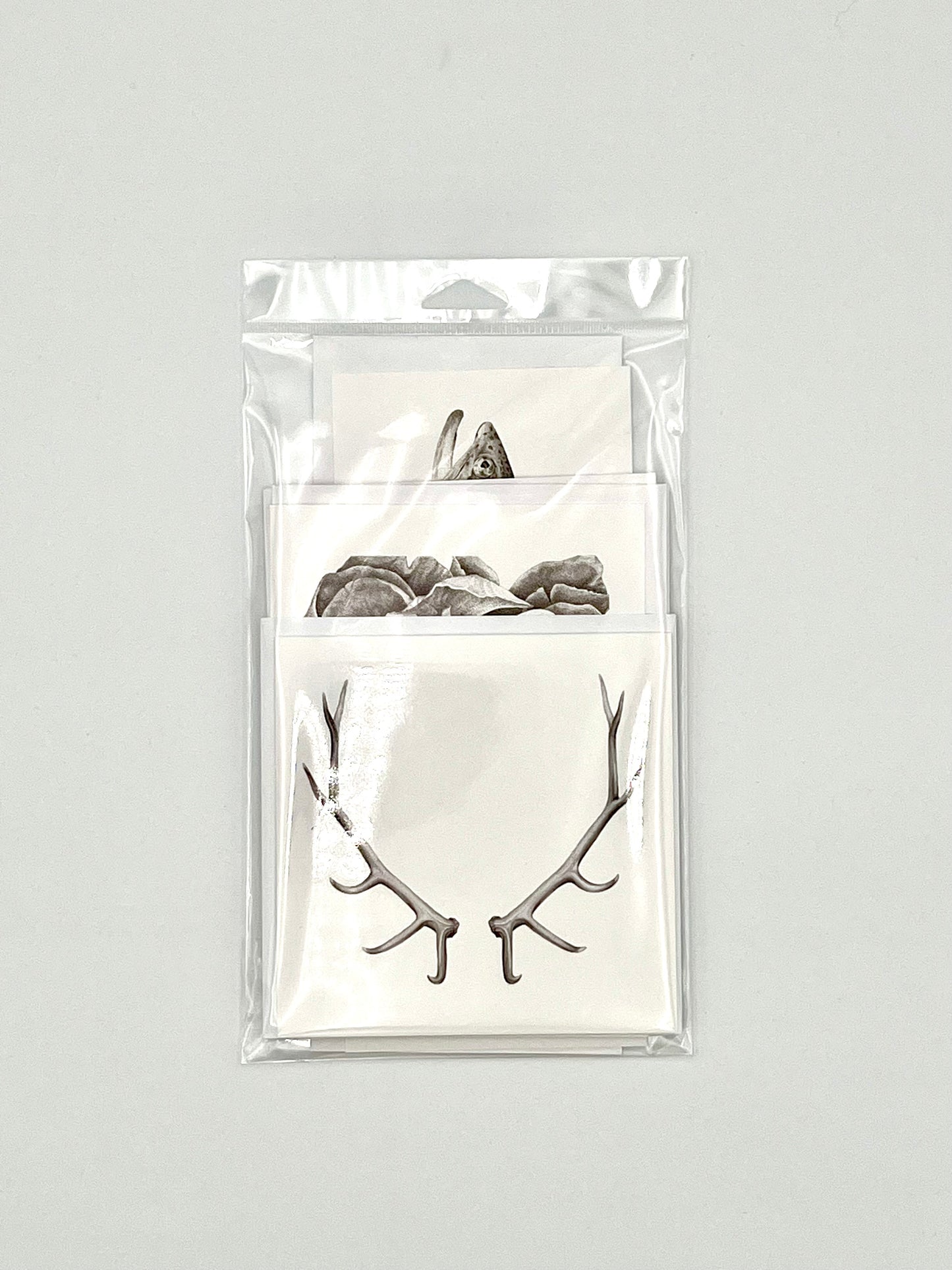 Combo pack of 5 cards, 1 of each