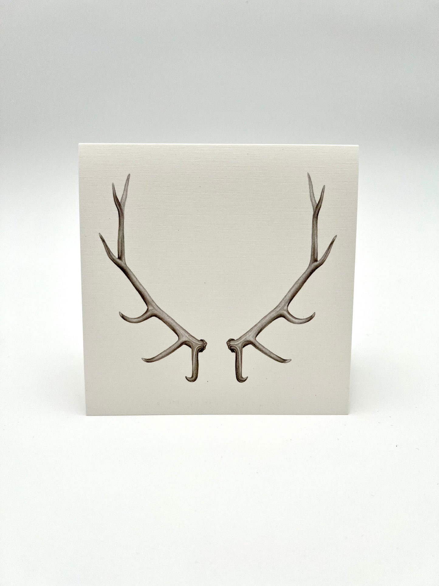 Antler Greeting Card