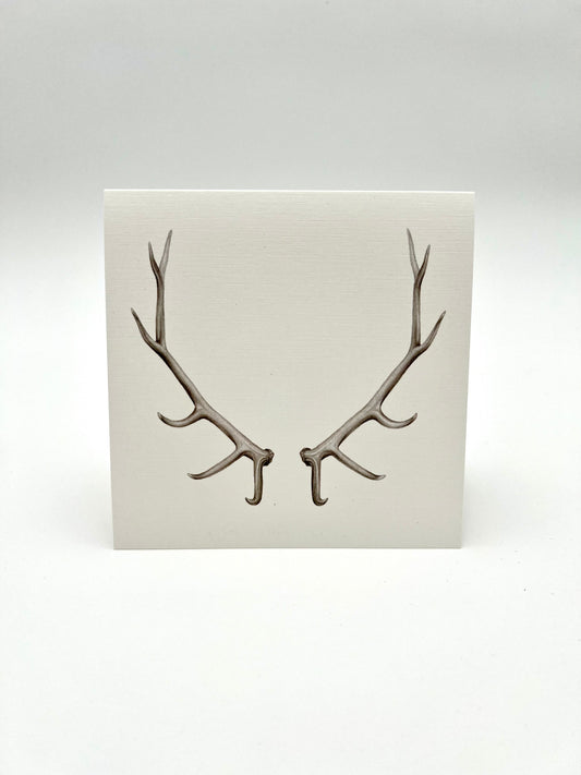 Antler Greeting Card