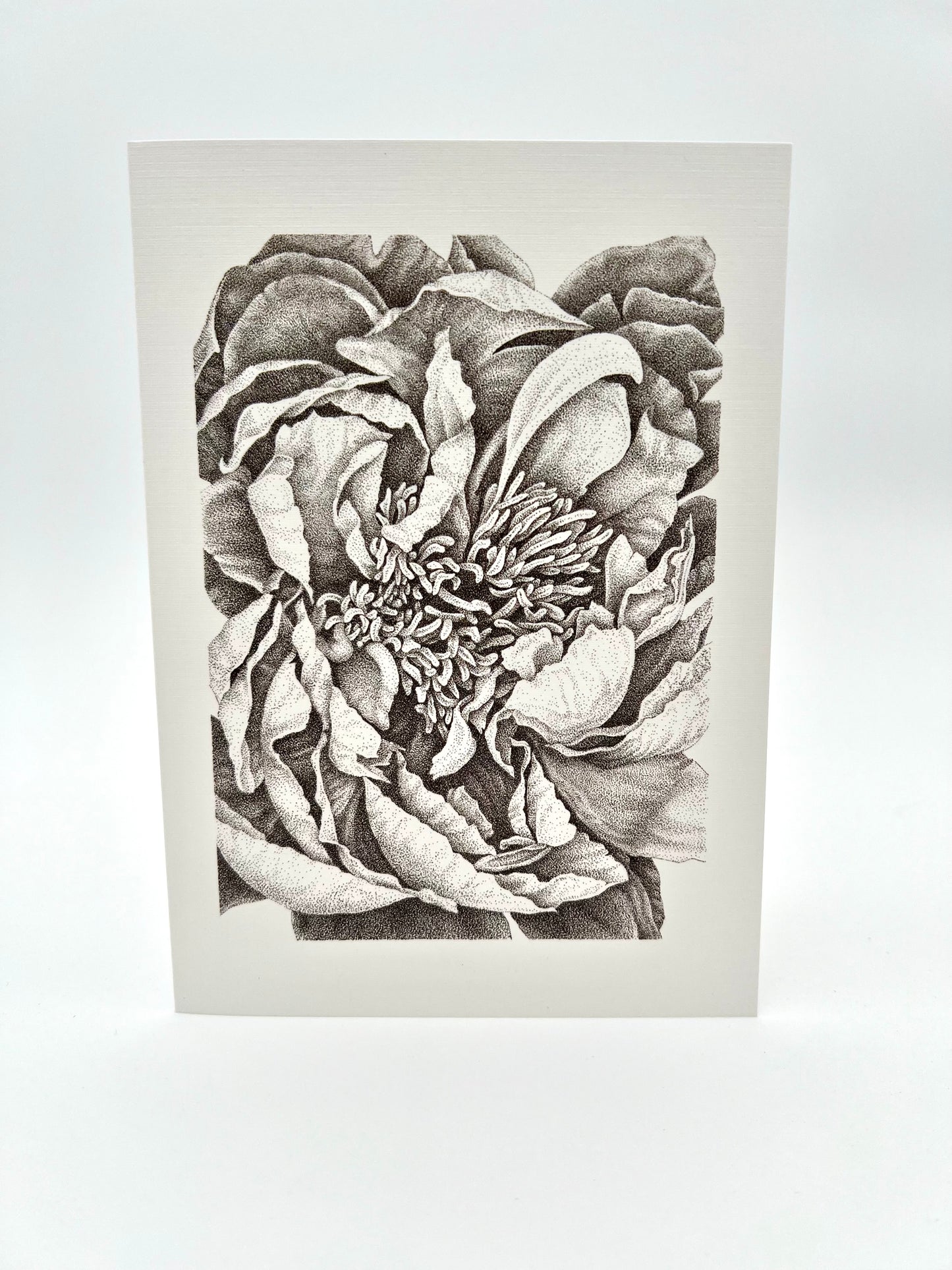 Garden Peony, Greeting Cards