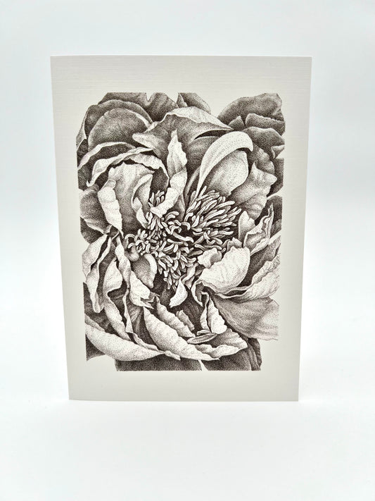 Garden Peony, Greeting Cards