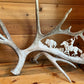 "The Hunter" Carved Moose Antler