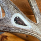 "The Hunter" Carved Moose Antler