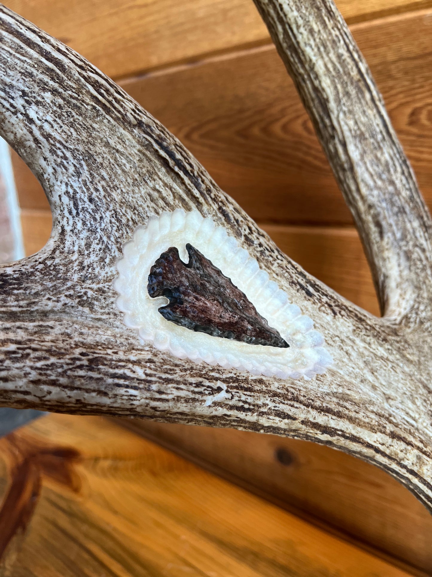 "The Hunter" Carved Moose Antler