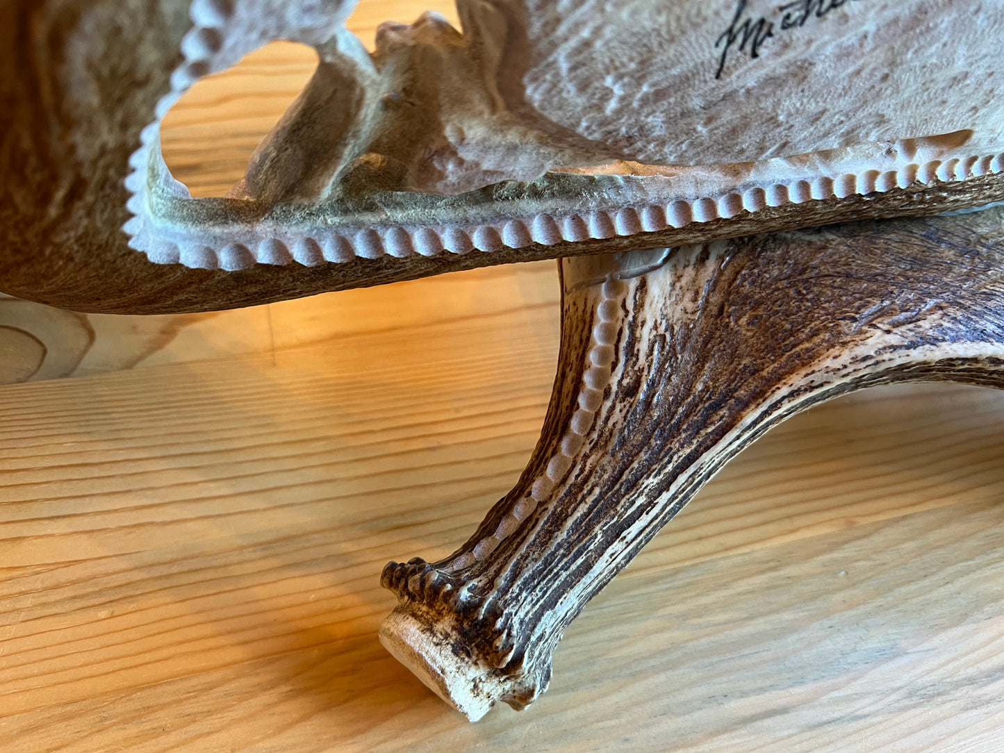 "Spring On The Plains"