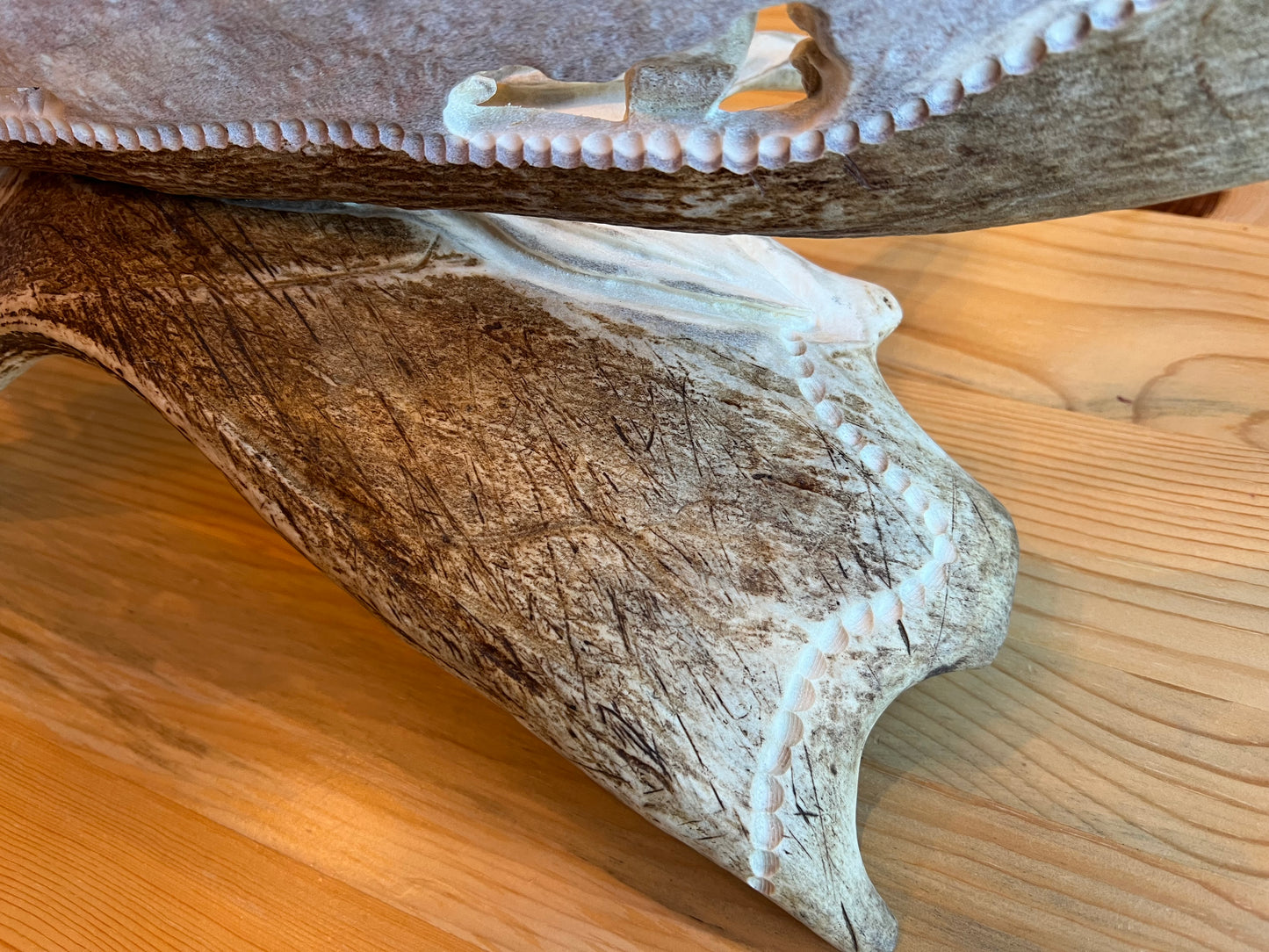 "Spring On The Plains"