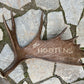 Custom Name Antler