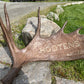 Custom Name Antler