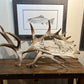 "The Catch" Carved Moose Antler, SOLD