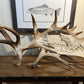 "The Catch" Carved Moose Antler, SOLD