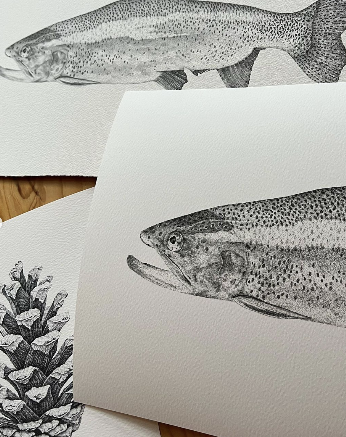 Trout I, Greeting Cards