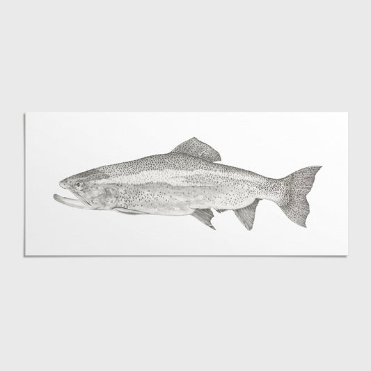 Trout I, Greeting Cards