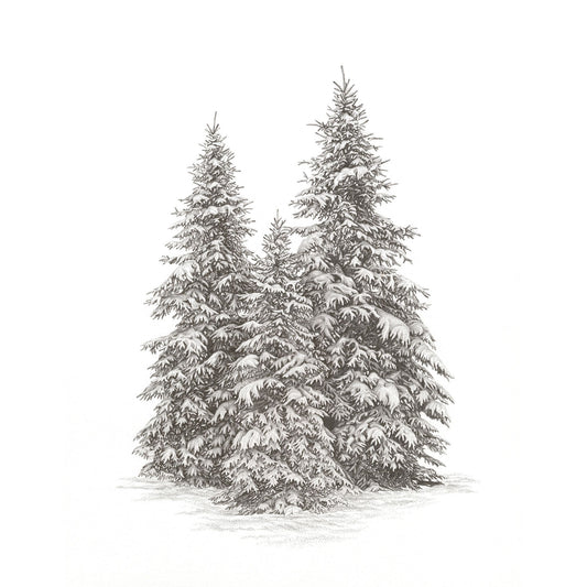Winter Trees I