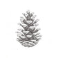 Pine Cone Study I