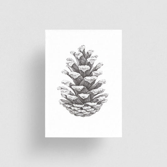 Pine Cone Study I, Greeting Cards