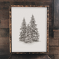 Winter Trees I